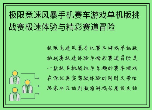 极限竞速风暴手机赛车游戏单机版挑战赛极速体验与精彩赛道冒险
